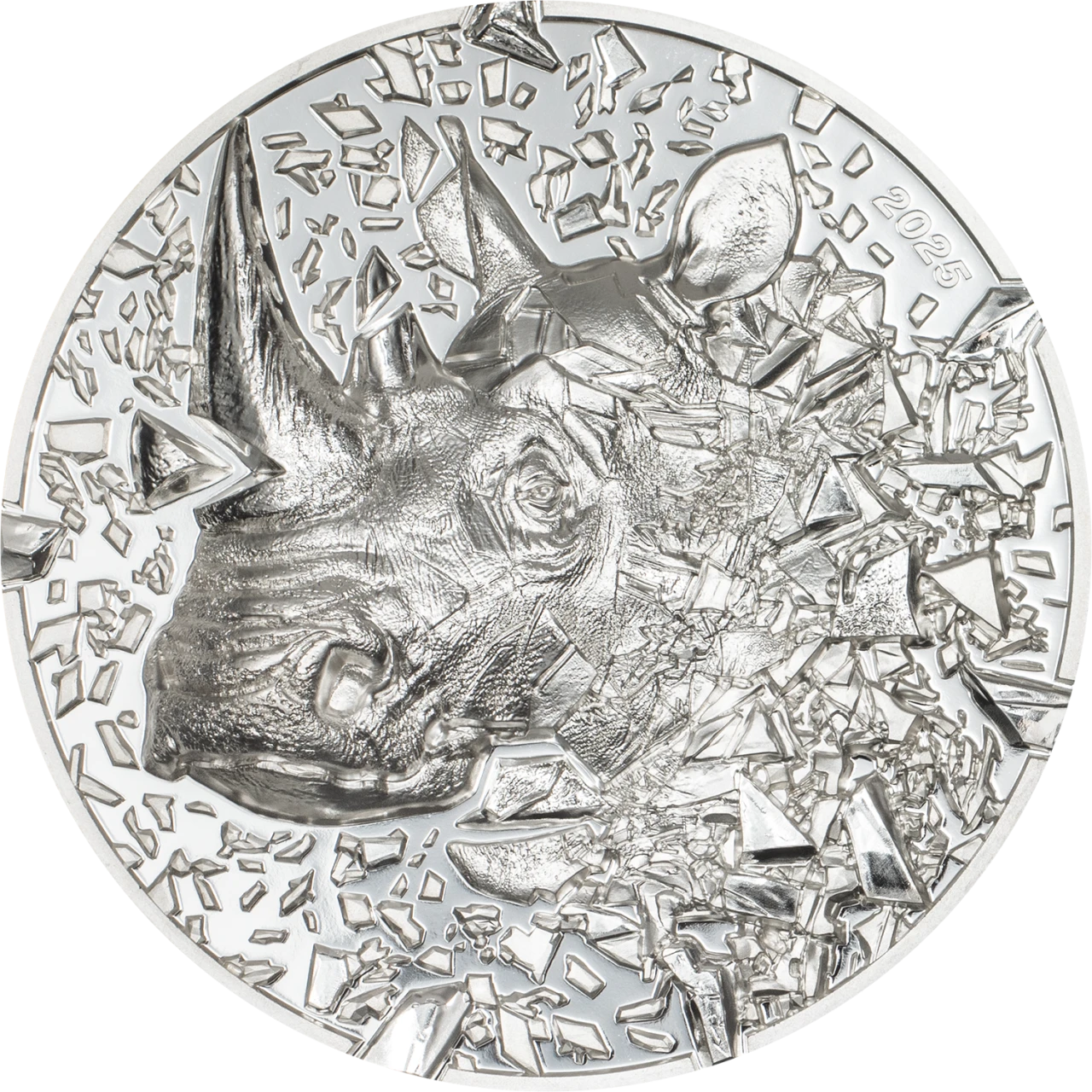 2025 – Rhino